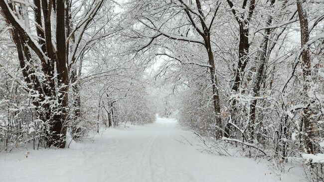 These trails are literally 3 minutes away - 1402 N Girard Ave N