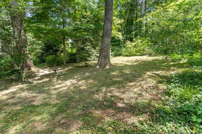 Building Photo - Updated Ranch - Excellent East Asheville L...