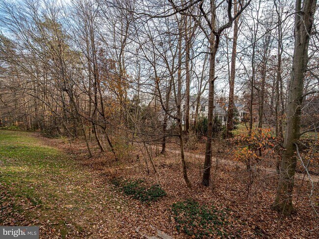 Building Photo - 10332 Mockingbird Pond Ct