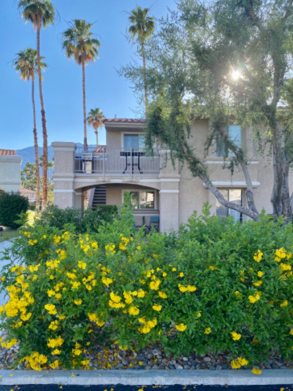 Building Photo - 4901 E Mesquite Ave