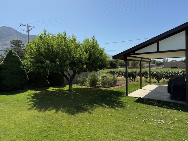 Building Photo - 431 E 2050 N