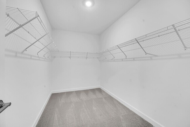 Building Photo - 3551 Angler Dr