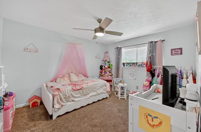 Building Photo - 3921 Timberidge Dr