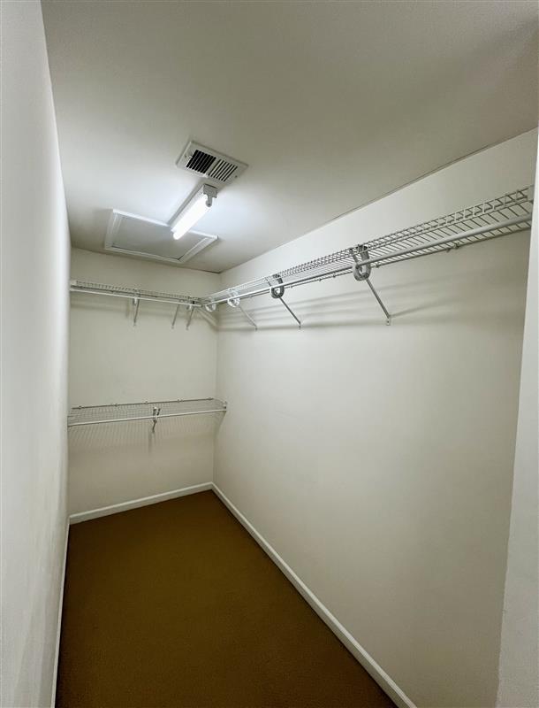 primary walk-in closet - 1305 Boulder Creek Rd