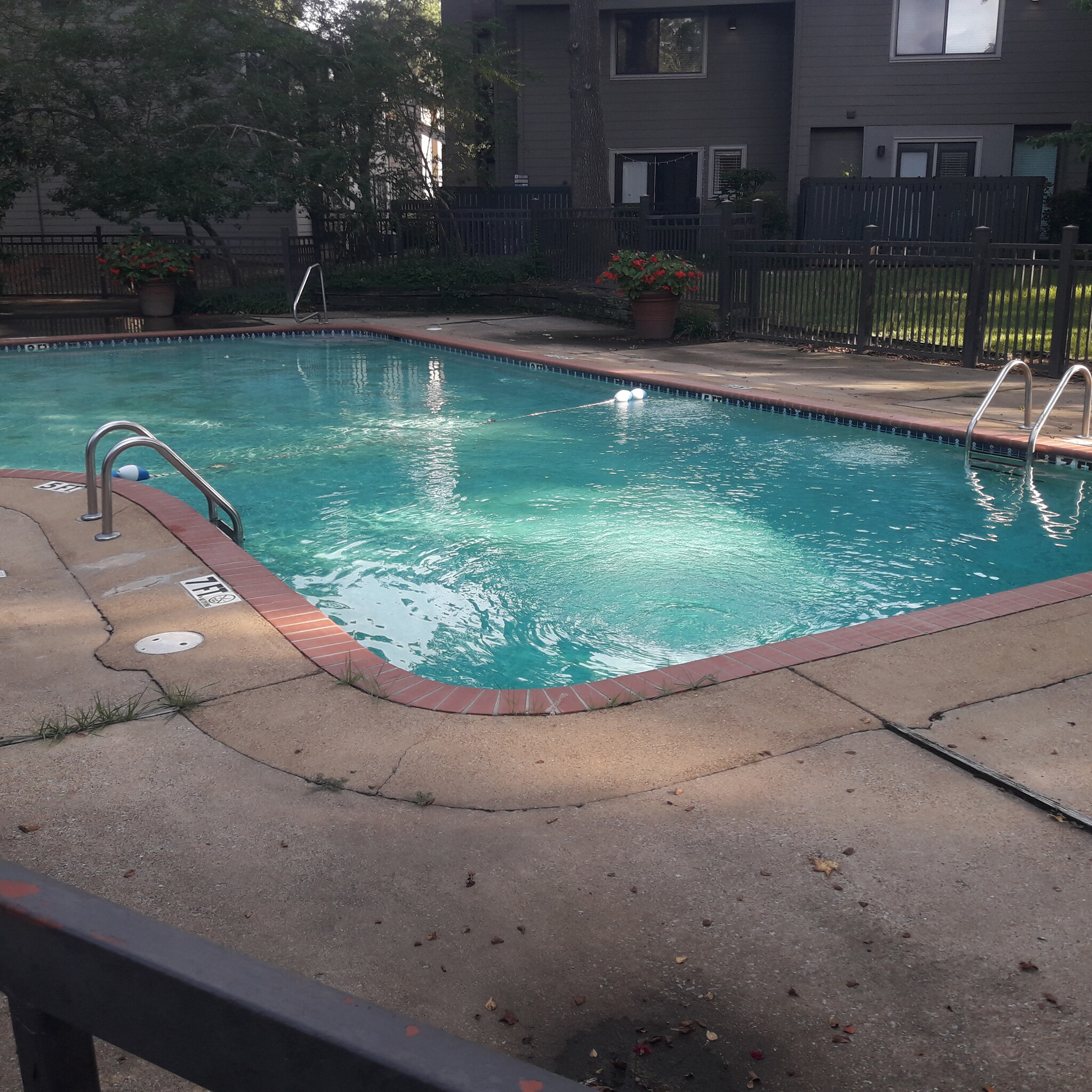 Pool - 1809 Adair Bridge Cv