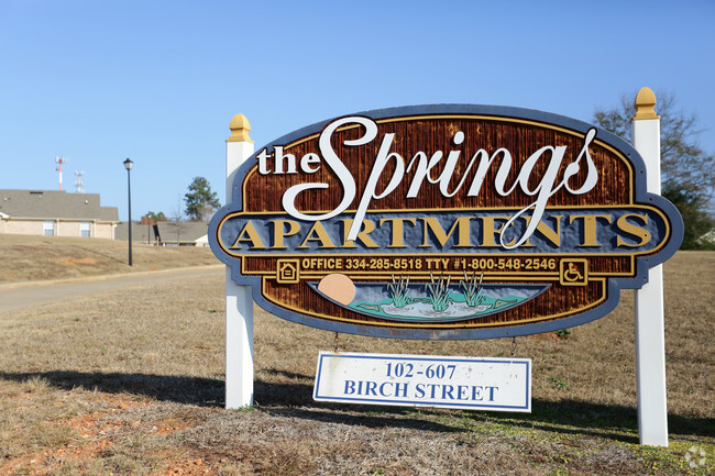 Building Photo - The Springs Apartments