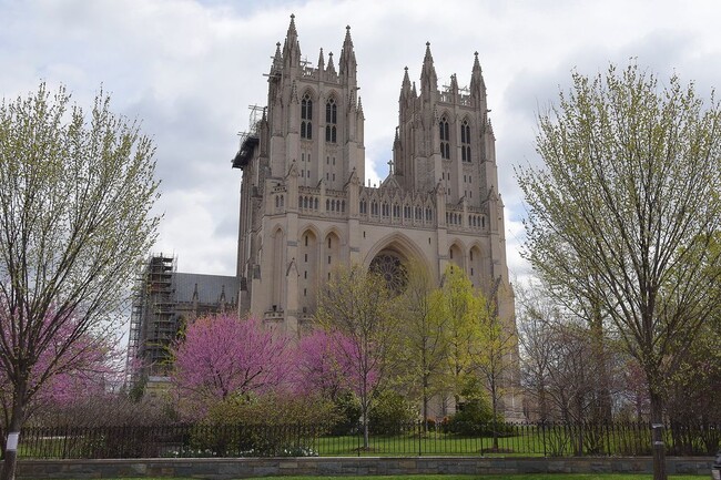 Building Photo - GREAT CORNER VIEWS! Wood floor Condo in Perfect DC Location Overlooking McLean Gardens