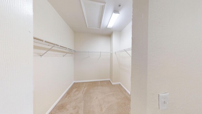 Building Photo - 831 Pipers Cay Dr