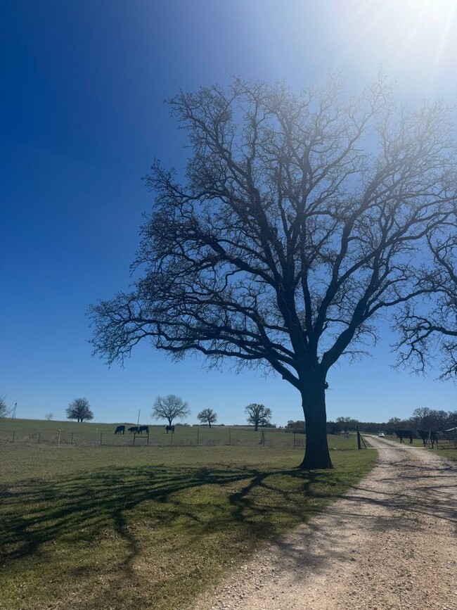 Building Photo - 6 acres / HORSES WELCOME / WATER INCLUDED ...