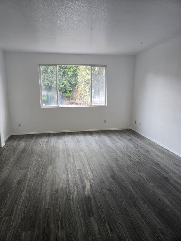 Building Photo - 421 Steiner Dr