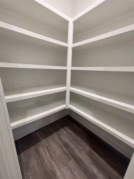 Building Photo - 1119 Fringed Bluestar Dr