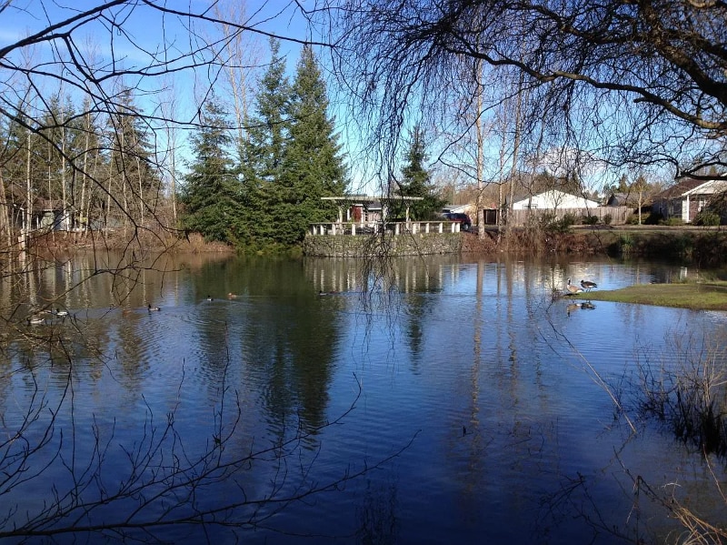 Building Photo - 4436 Alderbury St