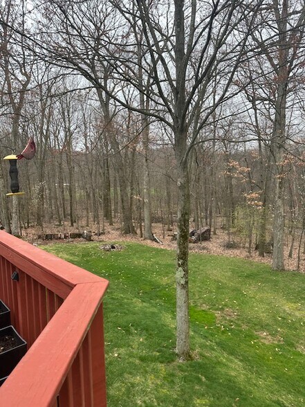 Rear Yard - 411 Lundy Ct