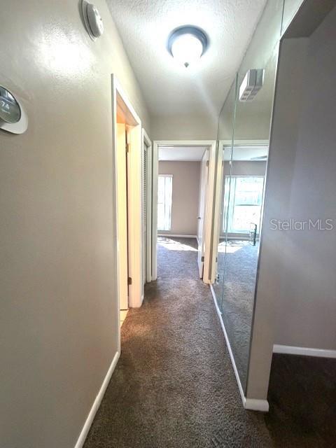 Building Photo - 1326 Peachfield Dr