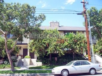 Primary Photo - 335 Wallis St