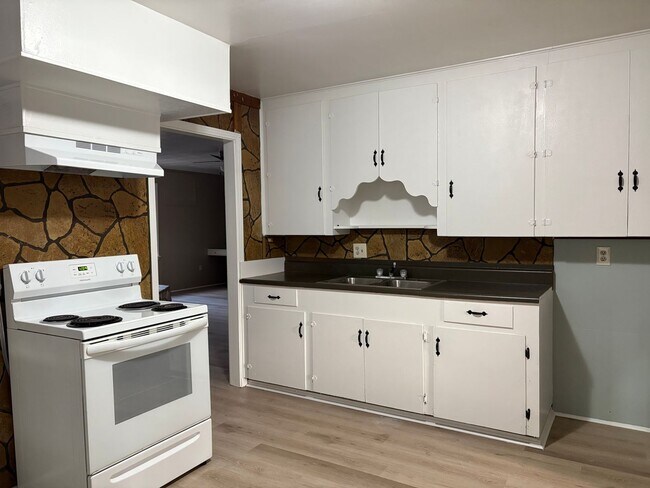 Building Photo - Amazing 4 bedroom/2 bath Home with Fireplace and Central Air & Heat!