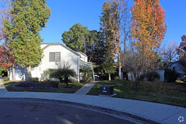 Primary Photo - Maple Street Villas