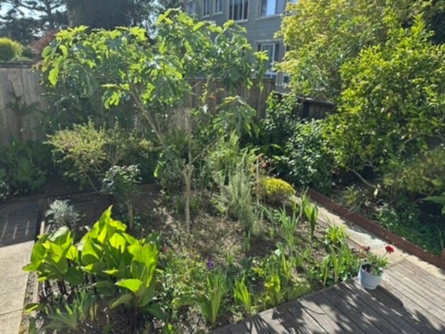 Building Photo - Epic REA- Serene 2 BR/1 BA Flat w/Private Deck & Yard in Lone Mountain