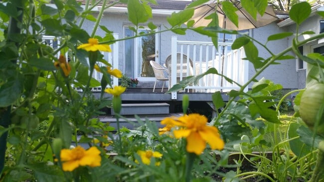 Building Photo - 186 White St