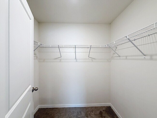 Building Photo - 3210 Suncoast Plains Dr