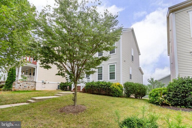 Building Photo - 407 Apricot St