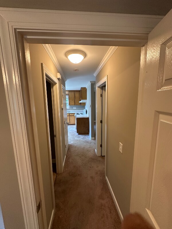 Building Photo - 109 Rollins Acres Ln
