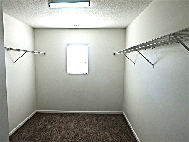 Building Photo - 113 Dabney Ridge Pl