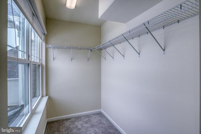 Building Photo - 101 Beaufort Ct