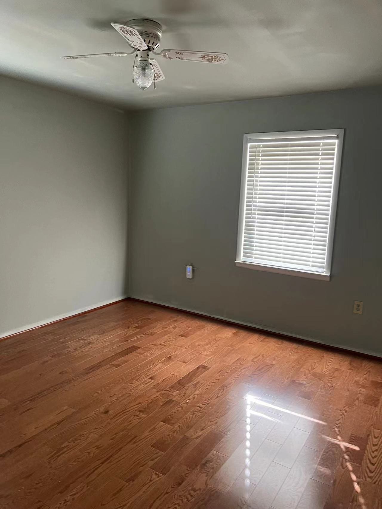 Building Photo - 2037 Dewey Dr