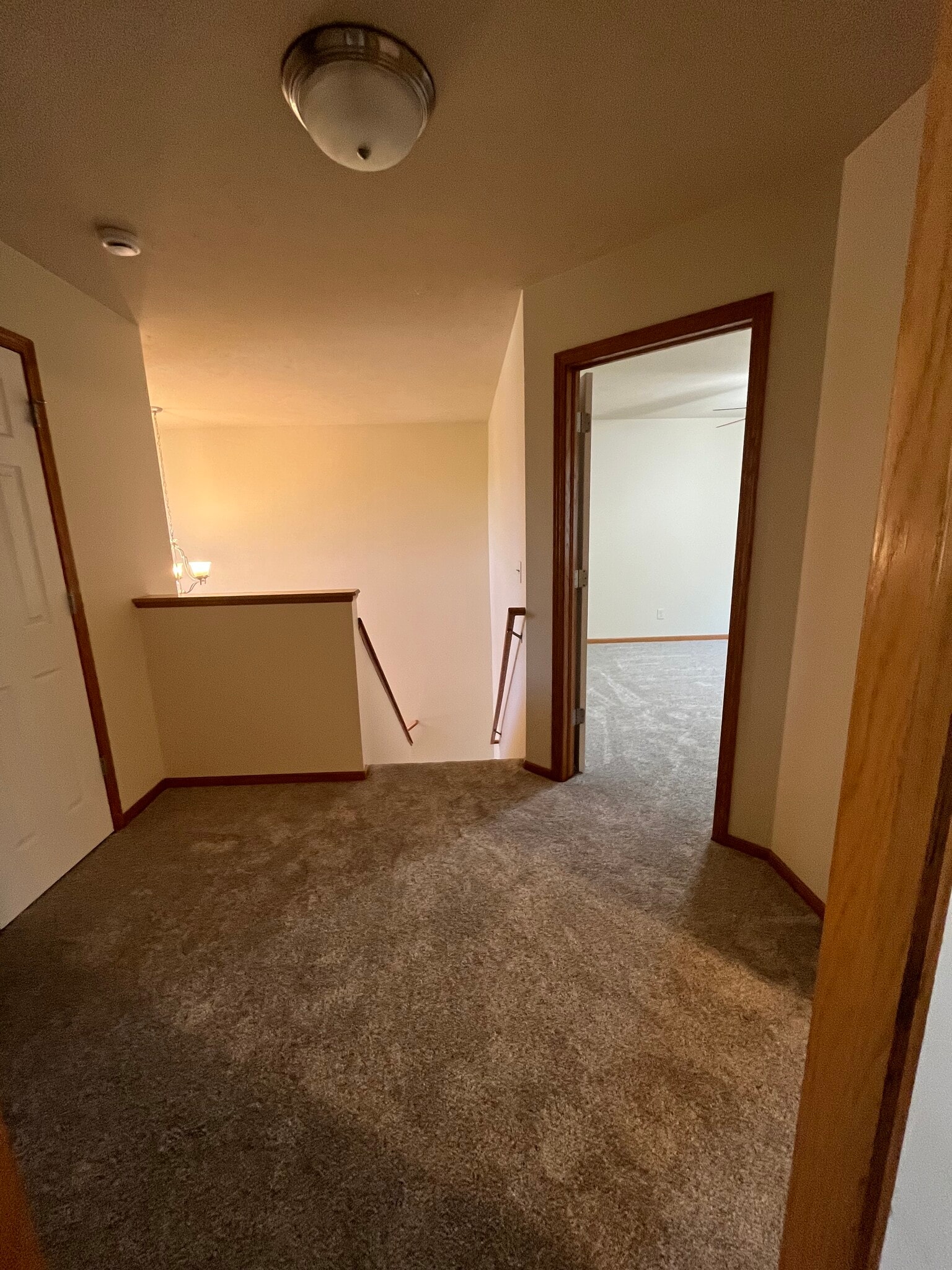 Building Photo - 8743 Remi Dr