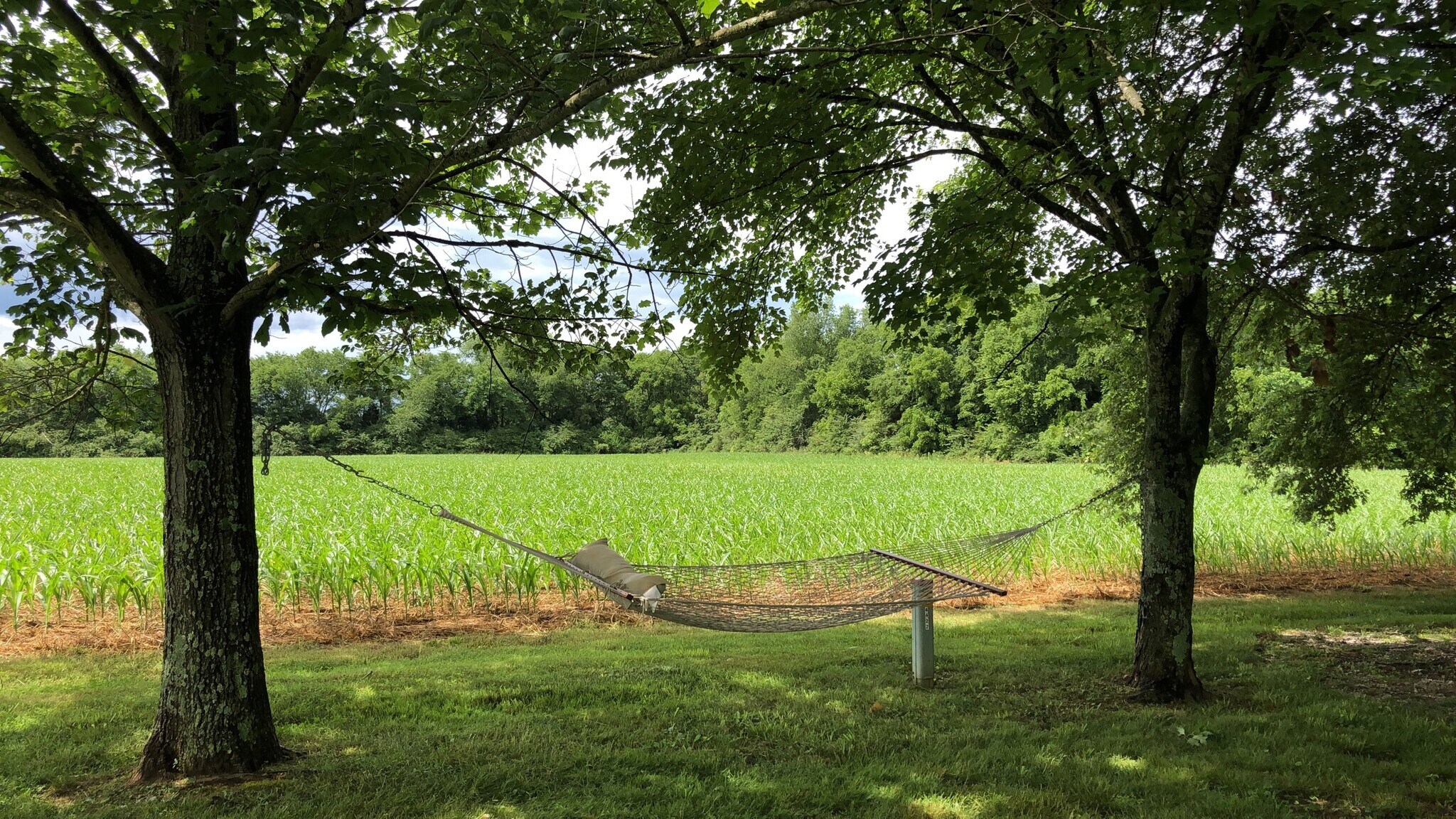 Field behind home! What a view! - 4422 Meadowland Dr