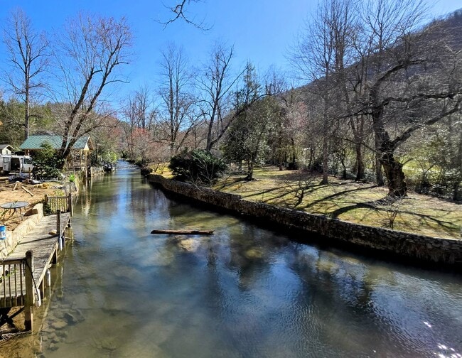 Building Photo - 151 Timpson Cove Rd