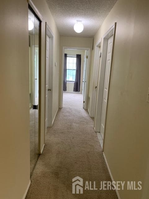 Building Photo - 72 Joyner Ct