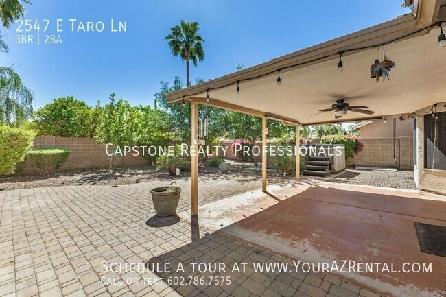 Building Photo - 2547 E Taro Ln