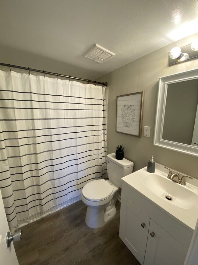 Building Photo - Newly Renovated All Electric 1 Bedroom in ...