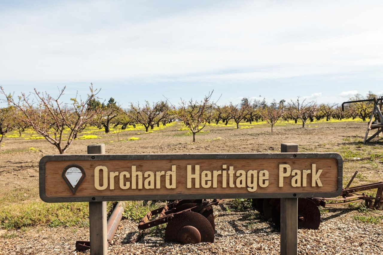 Building Photo - 1248 Crescent Ter