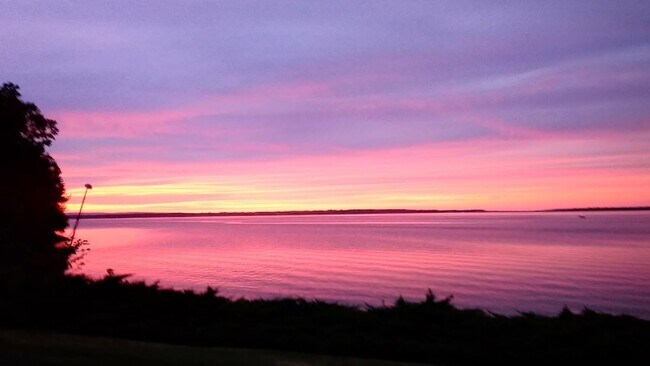 Building Photo - 38 Pebble Beach Rd