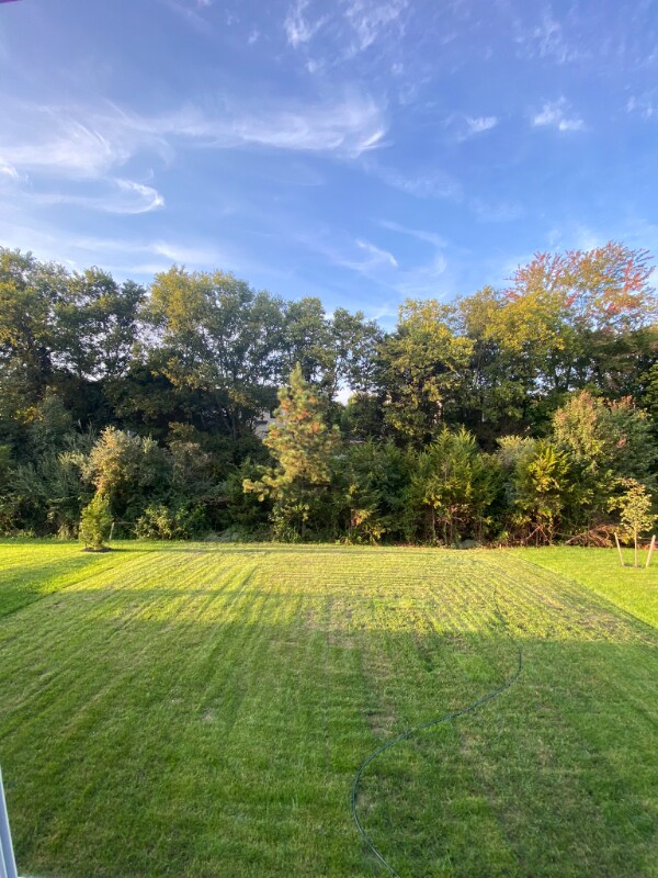 Building Photo - 247X Laurel Pk Dr