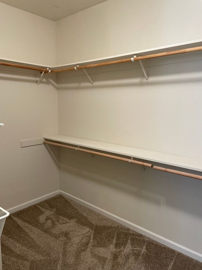 Building Photo - SINGLE STORY, 3 BED, 2 BATH, 2 CAR, LARGE BACK YARD