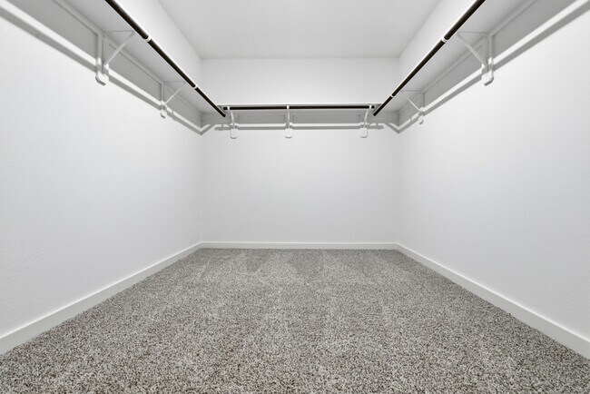 Building Photo - 3534 Blue Mockingbird St