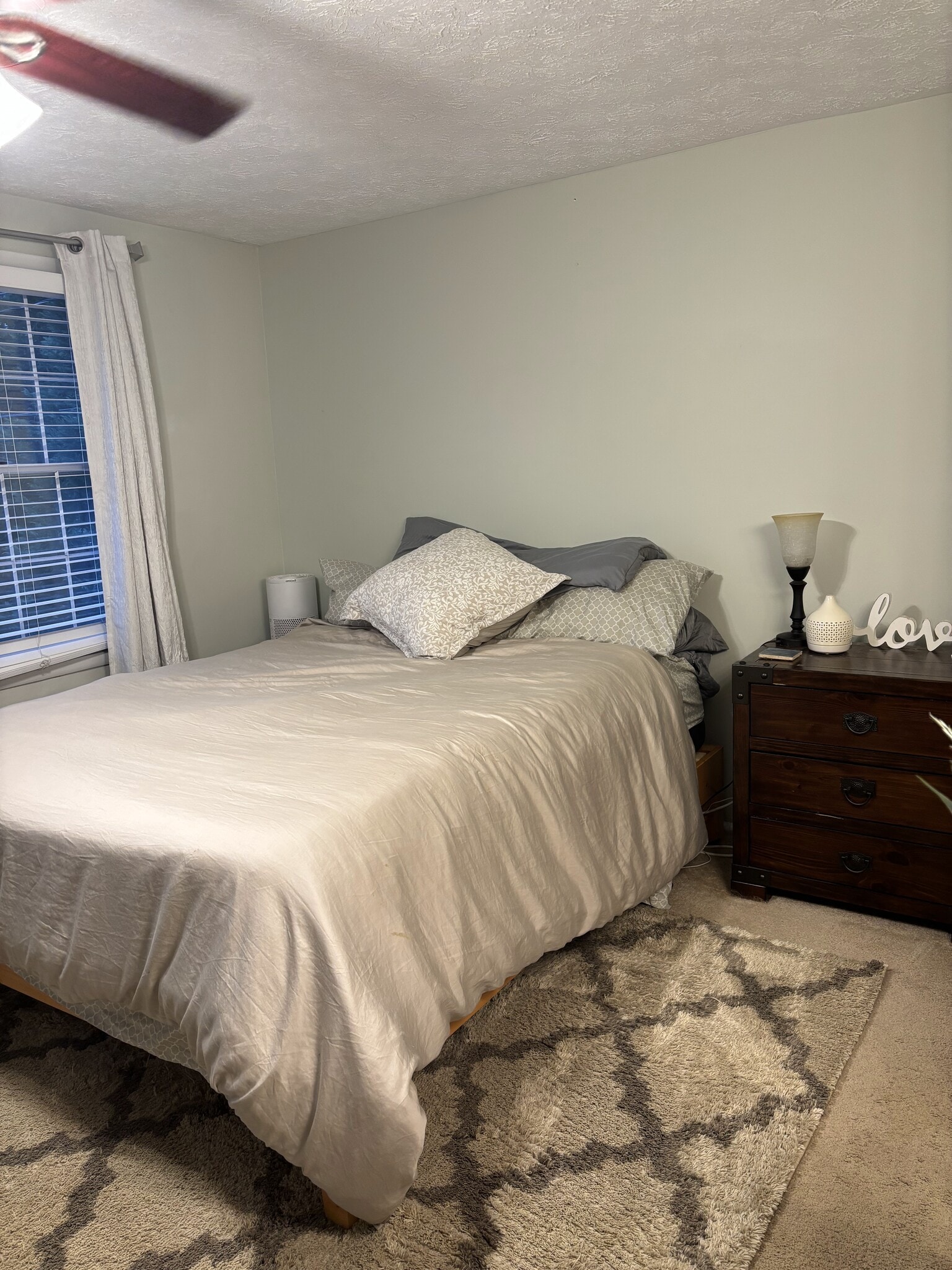 master bedroom - 1227 Scaleybark Rd