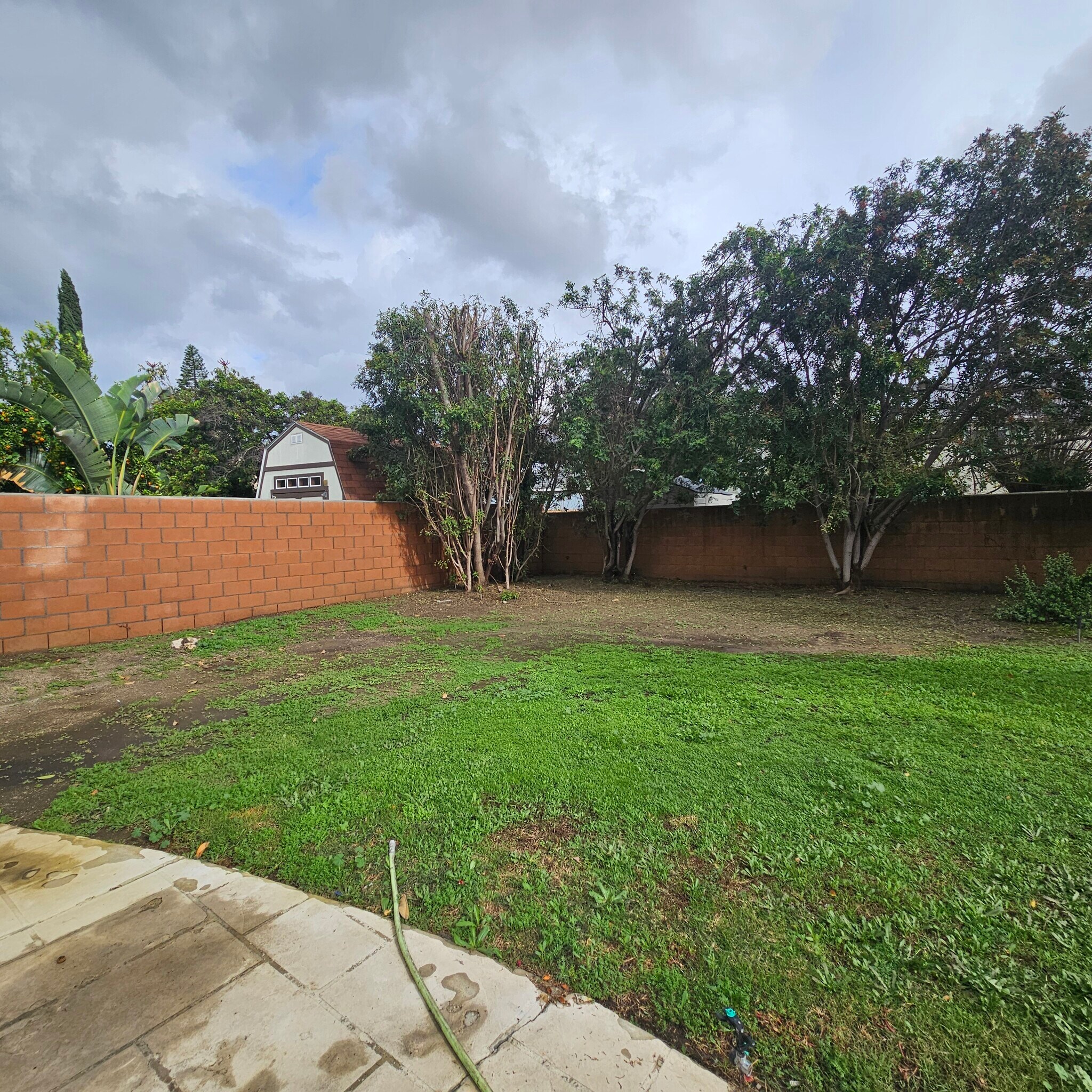 Back Yard - 8638 Collett Ave