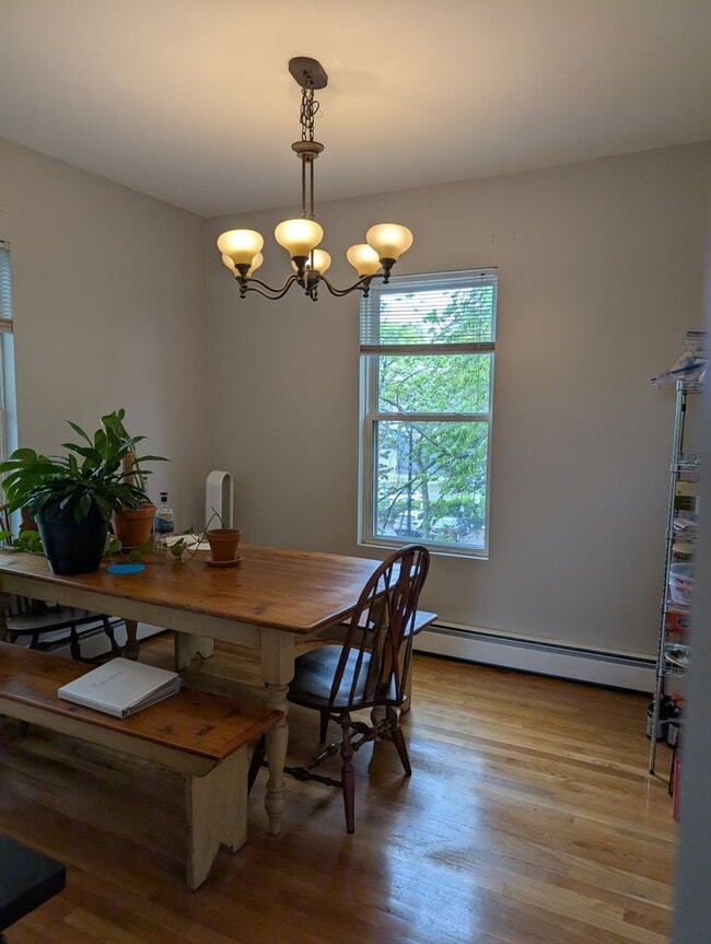 Building Photo - SEPTEMBER 1 - Dorchester Savin Hill 3 bedr...
