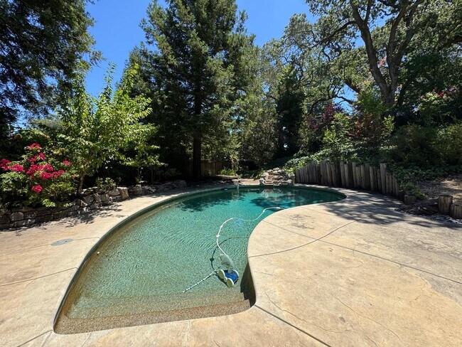 Building Photo - Gorgeous Single Level Home with Pool in Alamo Available Now!