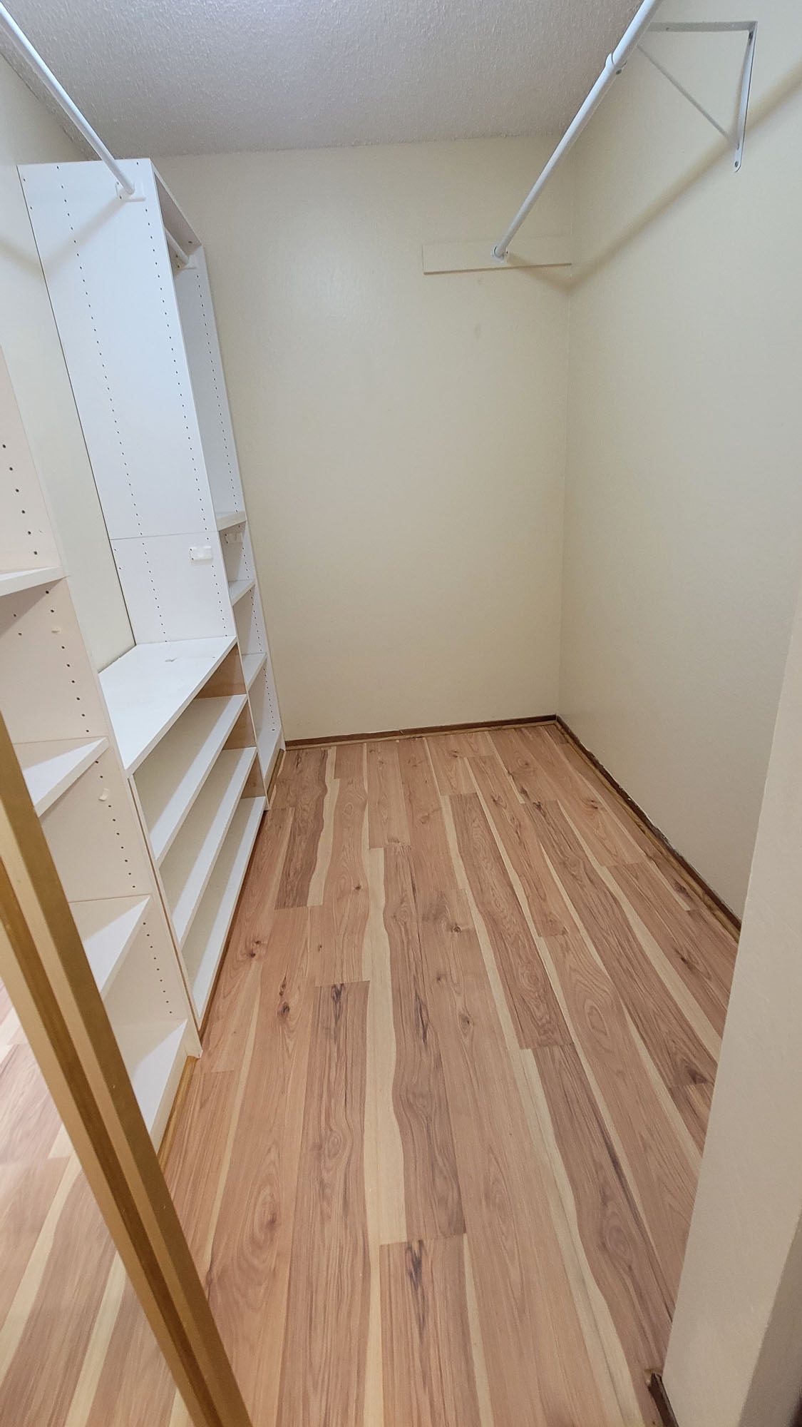 Main Bedroom Walk-In Closet - 203 Oriole Ct