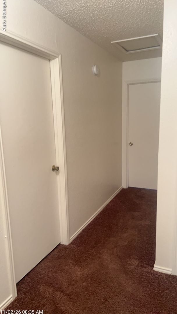 Building Photo - 3805 Braden Ln