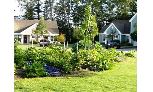 Building Photo - Davis Island Townhomes