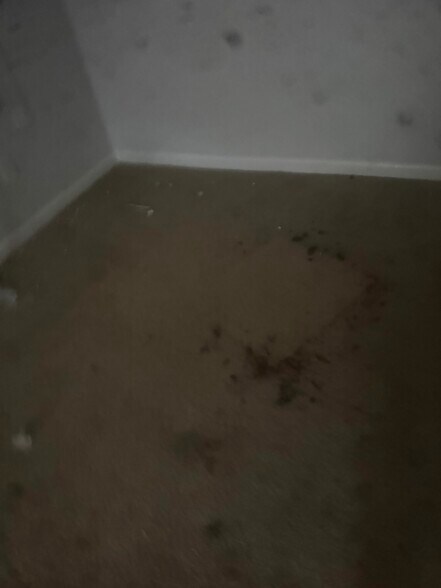 Building Photo - 402 NW 3rd Ave