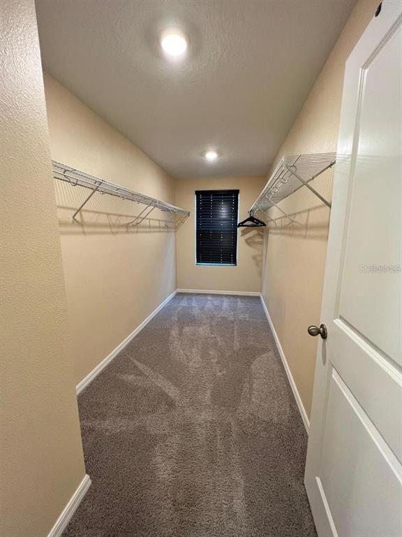Building Photo - 700 Split Hoof Dr