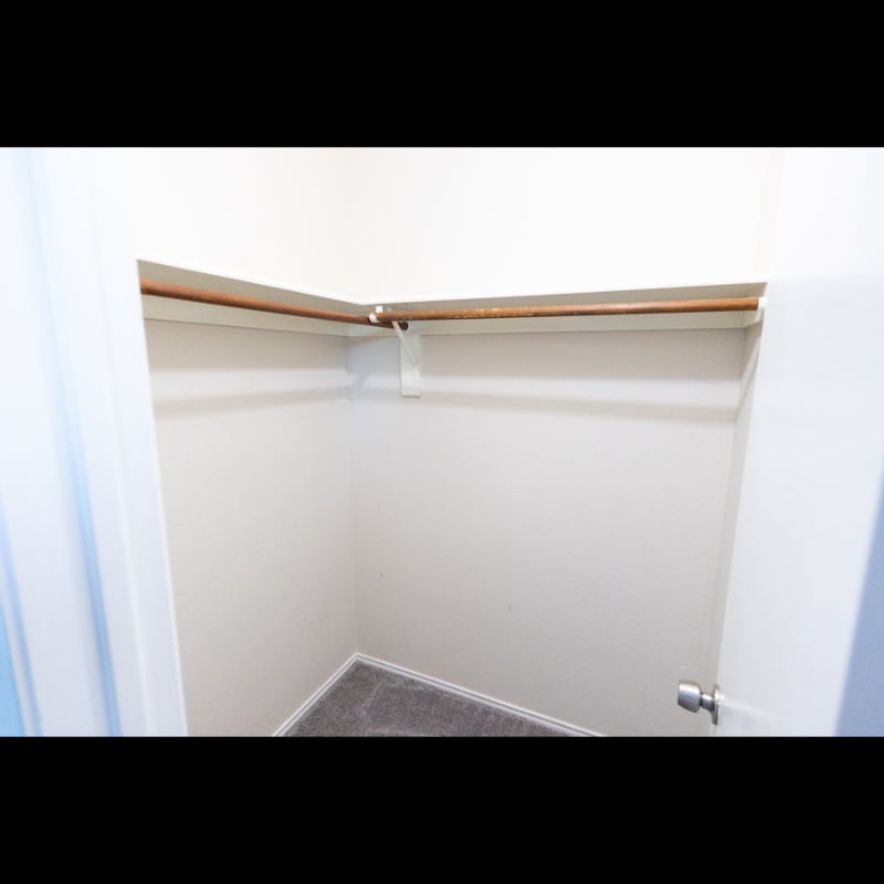Building Photo - 1203 Trenton Ln